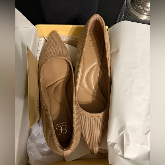 Cosy Island EternalPace Steadyline Pointed Toe Heeled Pumps - Picture 8 of 9